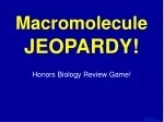 Macromolecule JEOPARDY! Honors Biology Review Game - slide 1