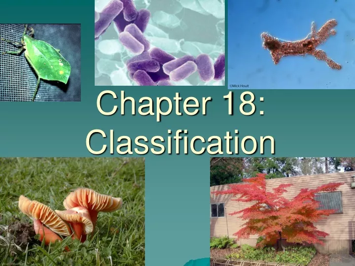 chapter 18 classification
