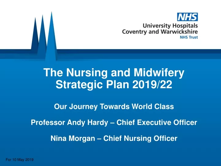 the nursing and midwifery strategic plan 2019