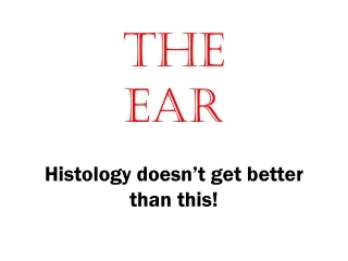 The  Ear Histology doesn’t get better than this!