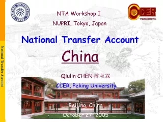 National Transfer Account China