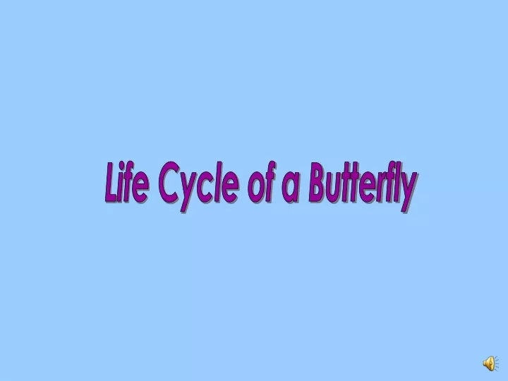 Ppt Life Cycle Of A Butterfly Powerpoint Presentation Free Download Id9697098 8895