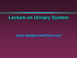 Lecture on Urinary System