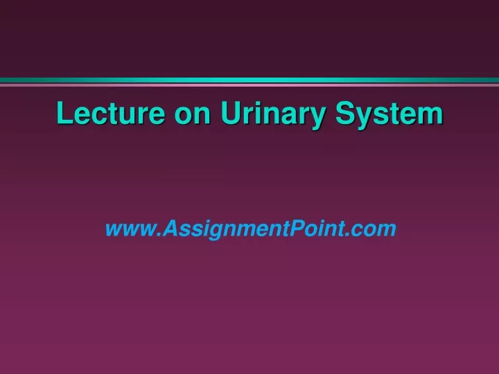 lecture on urinary system