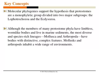 Key Concepts
