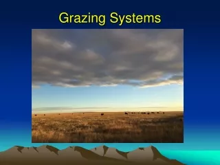 Grazing Systems