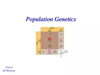 Population Genetics