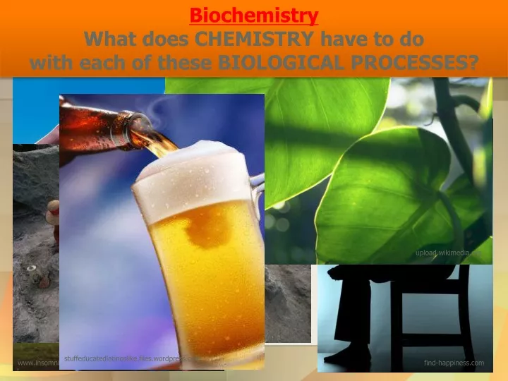 biochemistry what does chemistry have to do with