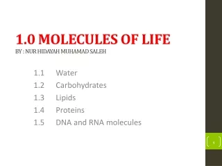 1.0 MOLECULES OF LIFE BY : NUR HIDAYAH MUHAMAD SALEH