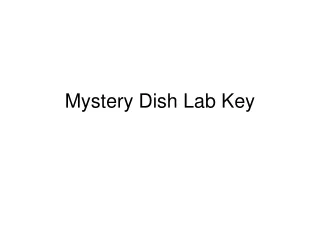 Mystery Dish Lab Key
