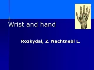 Wrist  and hand