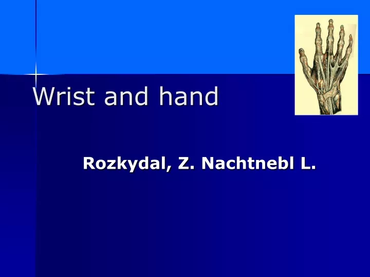 wrist and hand