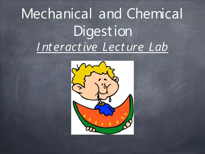 mechanical and chemical digestion interactive lecture lab