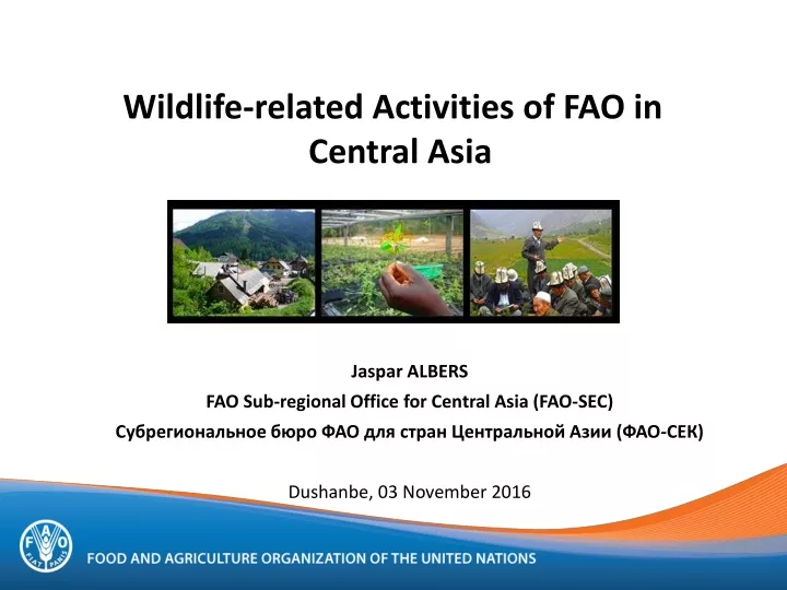 wildlife related activities of fao in central asia
