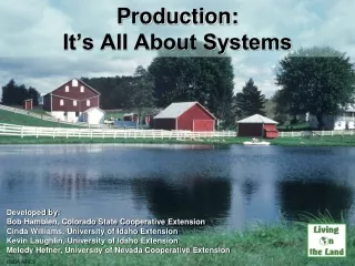 Production:  It’s All About Systems