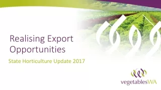 Realising Export Opportunities