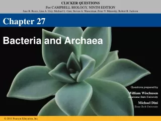 Bacteria and Archaea