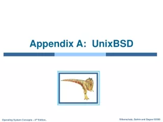 Appendix A:  UnixBSD