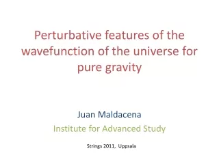 Perturbative features of the wavefunction of the universe for pure gravity