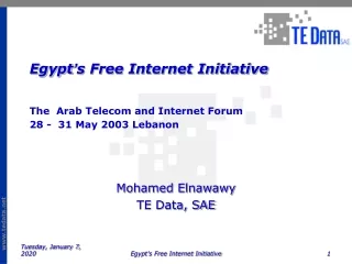 Mohamed Elnawawy TE Data, SAE