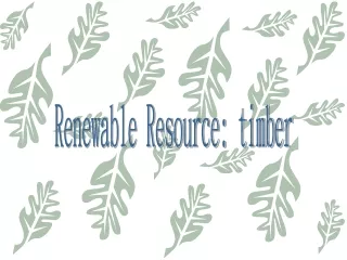 Renewable Resource: timber