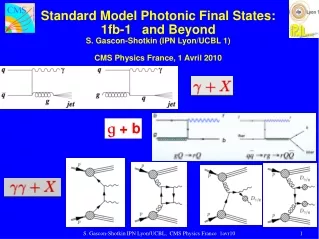 Standard Model Photonic Final States:  1fb-1   and Beyond S. Gascon-Shotkin (IPN Lyon/UCBL 1)