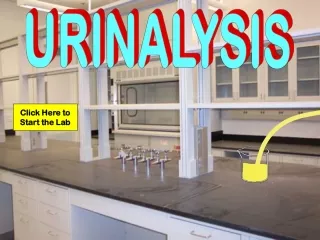 URINALYSIS