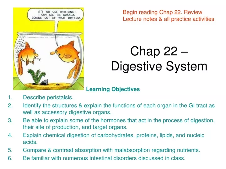 chap 22 digestive system