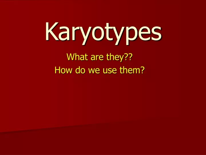 karyotypes