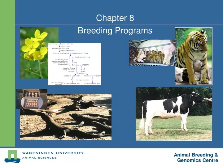 chapter 8 breeding programs