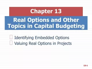 Real Options and Other Topics in Capital Budgeting