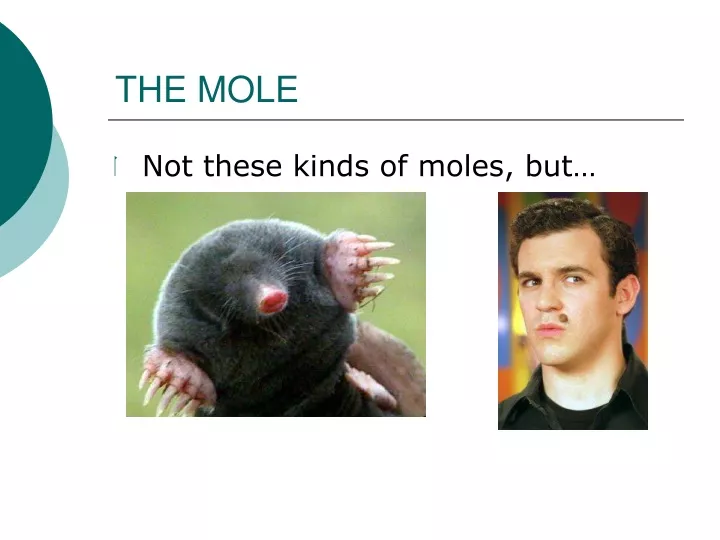 the mole