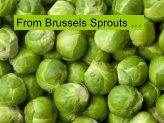 From Brussels Sprouts …