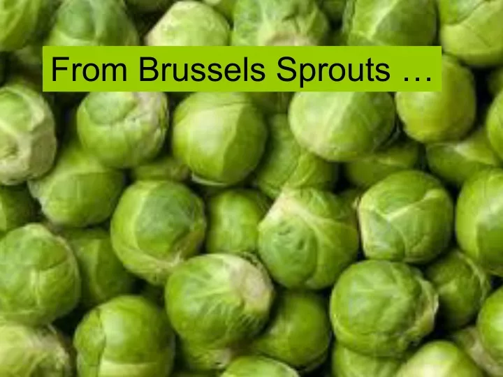 from brussels sprouts