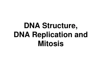 DNA Structure,  DNA Replication and Mitosis