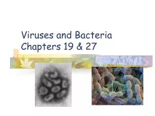 Viruses and Bacteria Chapters 19 &amp; 27