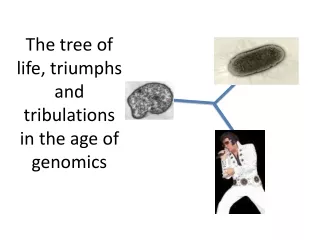 The tree of life, triumphs and tribulations in the age of genomics