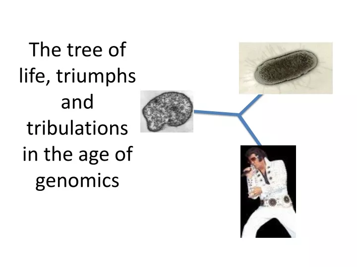the tree of life triumphs and tribulations in the age of genomics