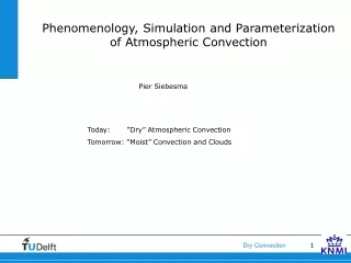 Phenomenology, Simulation and Parameterization of Atmospheric Convection
