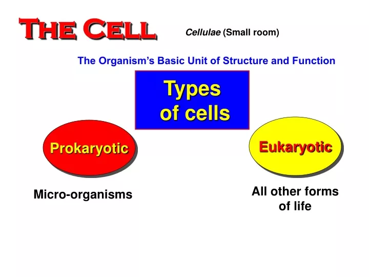 the cell