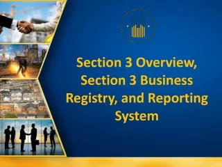 Section 3 Overview, Section 3 Business Registry, and Reporting System