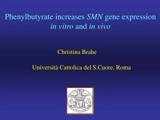 Phenylbutyrate increases  SMN  gene expression in vitro  and  in vivo