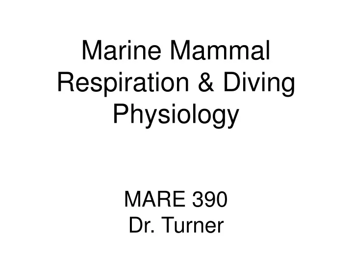 marine mammal respiration diving physiology mare