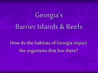 Georgia’s  Barrier Islands &amp; Reefs