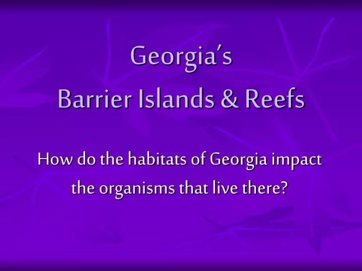 georgia s barrier islands reefs