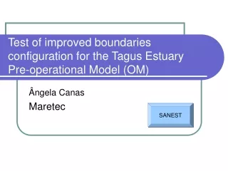 Test of improved boundaries configuration for the Tagus Estuary Pre-operational Model (OM)