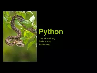 Python