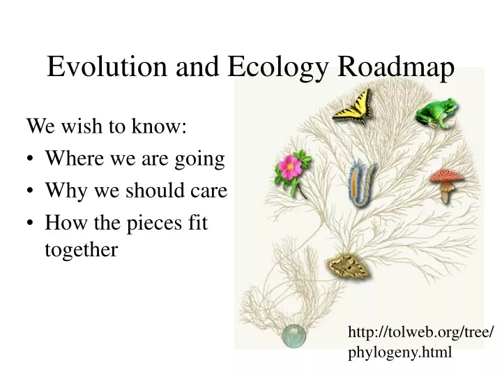 evolution and ecology roadmap