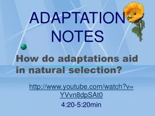 How do adaptations aid in natural selection?