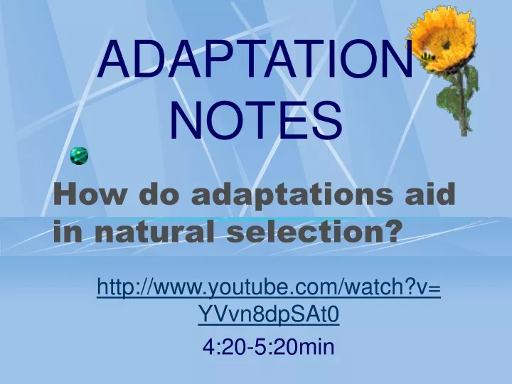 how do adaptations aid in natural selection